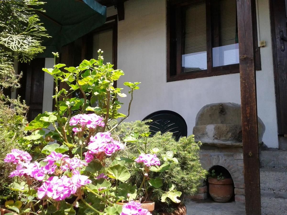 Гостевой дом Hostel Pashov Велико-Тырново-27