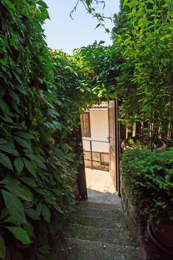 Гостевой дом Hostel Pashov Велико-Тырново-10